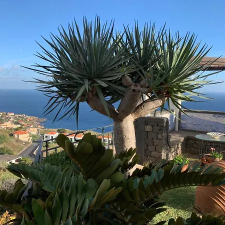 Tagus Garajau * Caniço